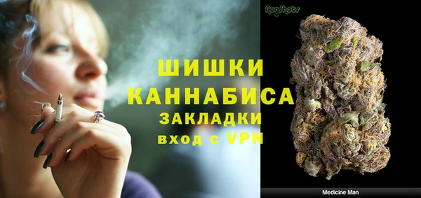 молекула духа Заволжье