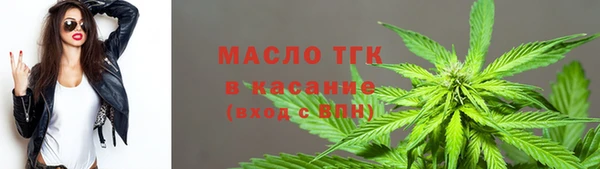 сатива Нижний Тагил