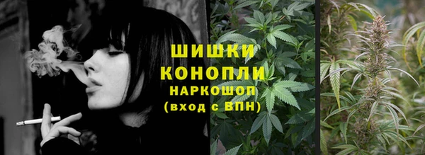 молекула духа Заволжье